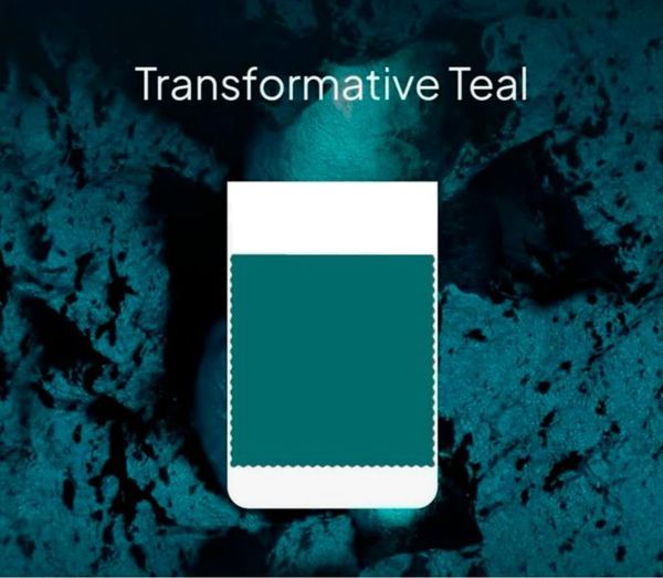 Уже можно. Цвет года 2026 по Pantone